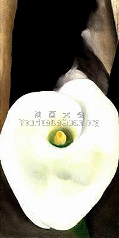 -Unknown - 乔治亚·奥基夫